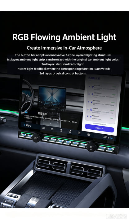 BYD Smart Physical Control Buttons with Ambient Lighting
